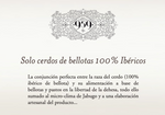 Jamón de Bellota 100% Ibérico - 959 Selección Especial