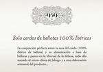 15 Sobres de 80g Jamón de Bellota 100% Ibérico - 959 Selección Especial Consultar disponibilidad!